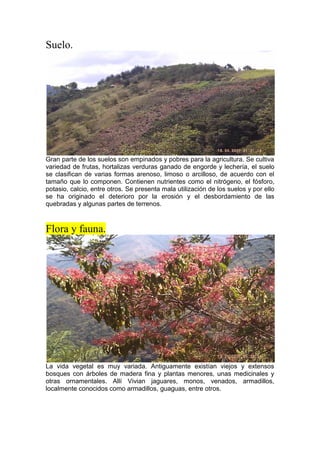 Suelo.
Gran parte de los suelos son empinados y pobres para la agricultura. Se cultiva
variedad de frutas, hortalizas verduras ganado de engorde y lechería, el suelo
se clasifican de varias formas arenoso, limoso o arcilloso, de acuerdo con el
tamaño que lo componen. Contienen nutrientes como el nitrógeno, el fósforo,
potasio, calcio, entre otros. Se presenta mala utilización de los suelos y por ello
se ha originado el deterioro por la erosión y el desbordamiento de las
quebradas y algunas partes de terrenos.
Flora y fauna.
La vida vegetal es muy variada. Antiguamente existían viejos y extensos
bosques con árboles de madera fina y plantas menores, unas medicinales y
otras ornamentales. Allí Vivian jaguares, monos, venados, armadillos,
localmente conocidos como armadillos, guaguas, entre otros.
 