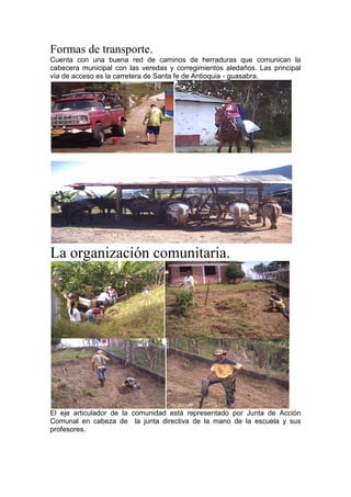 Formas de transporte.
Cuenta con una buena red de caminos de herraduras que comunican la
cabecera municipal con las veredas y corregimientos aledaños. Las principal
vía de acceso es la carretera de Santa fe de Antioquia - guasabra.
La organización comunitaria.
El eje articulador de la comunidad está representado por Junta de Acción
Comunal en cabeza de la junta directiva de la mano de la escuela y sus
profesores.
 