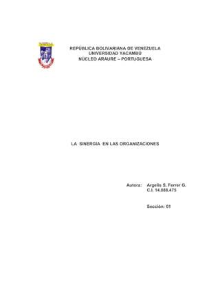 REPÚBLICA BOLIVARIANA DE VENEZUELA
       UNIVERSIDAD YACAMBÚ
   NÚCLEO ARAURE – PORTUGUESA




LA SINERGIA EN LAS ORGANIZACIONES




                     Autora:   Argelis S. Ferrer G.
                               C.I. 14.888.475


                               Sección: 01
 