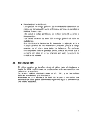 24
 Usos incorrectos del término.
La expresión “el código genético” es frecuentemente utilizada en los
medios de comunicación como sinónimo de genoma, de genotipo, o
de ADN. Frases como:
«Se analizó el código genético de los restos y coincidió con el de la
desaparecida»
«Se creará una base de datos con el código genético de todos los
ciudadanos»
Son científicamente incorrectas. Es insensato, por ejemplo, aludir al
«Código genético de una determinada persona», porque el código
genético es el mismo para todos los individuos. Sin embargo,
cada organismo tiene un genotipo propio, aunque es posible que lo
comparta con otros si se ha originado por algún mecanismo de
multiplicación asexual.
XI. CONCLUSIÓN
El código genético se transfiere desde el núcleo hasta el citoplasma a
través del ARN y ARNt donde se producen las proteínas específicas que
determinan al organismo.
Se hicieron muchas investigaciones en el año 1961, y se descubrieron
todos los trinucleótidos y su importancia.
Finalmente se pudo establecer la teoría de un gen – una enzima que
establece que cada gen en determinado organismo regula la producción de
una enzima especifica.
 