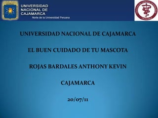UNIVERSIDAD NACIONAL DE CAJAMARCA EL BUEN CUIDADO DE TU MASCOTA ROJAS BARDALES ANTHONY KEVIN CAJAMARCA 20/07/11 