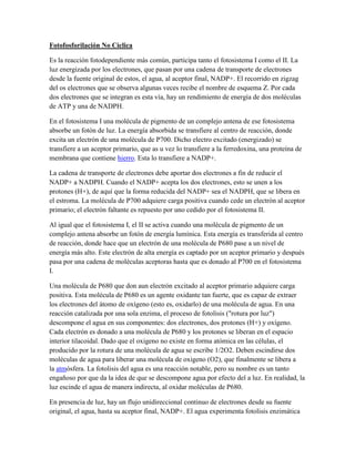 Fotofosforilación No Cíclica
Es la reacción fotodependiente más común, participa tanto el fotosistema I como el II. La
luz energizada por los electrones, que pasan por una cadena de transporte de electrones
desde la fuente original de estos, el agua, al aceptor final, NADP+. El recorrido en zigzag
del os electrones que se observa algunas veces recibe el nombre de esquema Z. Por cada
dos electrones que se integran es esta vía, hay un rendimiento de energía de dos moléculas
de ATP y una de NADPH.
En el fotosistema I una molécula de pigmento de un complejo antena de ese fotosistema
absorbe un fotón de luz. La energía absorbida se transfiere al centro de reacción, donde
excita un electrón de una molécula de P700. Dicho electro excitado (energizado) se
transfiere a un aceptor primario, que as u vez lo transfiere a la ferredoxina, una proteína de
membrana que contiene hierro. Esta lo transfiere a NADP+.
La cadena de transporte de electrones debe aportar dos electrones a fin de reducir el
NADP+ a NADPH. Cuando el NADP+ acepta los dos electrones, esto se unen a los
protones (H+), de aquí que la forma reducida del NADP+ sea el NADPH, que se libera en
el estroma. La molécula de P700 adquiere carga positiva cuando cede un electrón al aceptor
primario; el electrón faltante es repuesto por uno cedido por el fotosistema II.
Al igual que el fotosistema I, el II se activa cuando una molécula de pigmento de un
complejo antena absorbe un fotón de energía lumínica. Esta energía es transferida al centro
de reacción, donde hace que un electrón de una molécula de P680 pase a un nivel de
energía más alto. Este electrón de alta energía es captado por un aceptor primario y después
pasa por una cadena de moléculas aceptoras hasta que es donado al P700 en el fotosistema
I.
Una molécula de P680 que don aun electrón excitado al aceptor primario adquiere carga
positiva. Esta molécula de P680 es un agente oxidante tan fuerte, que es capaz de extraer
los electrones del átomo de oxígeno (esto es, oxidarlo) de una molécula de agua. En una
reacción catalizada por una sola enzima, el proceso de fotolisis ("rotura por luz")
descompone el agua en sus componentes: dos electrones, dos protones (H+) y oxígeno.
Cada electrón es donado a una molécula de P680 y los protones se liberan en el espacio
interior tilacoidal. Dado que el oxigeno no existe en forma atómica en las células, el
producido por la rotura de una molécula de agua se escribe 1/2O2. Deben escindirse dos
moléculas de agua para liberar una molécula de oxigeno (O2), que finalmente se libera a
la atmósfera. La fotolisis del agua es una reacción notable, pero su nombre es un tanto
engañoso por que da la idea de que se descompone agua por efecto del a luz. En realidad, la
luz escinde el agua de manera indirecta, al oxidar moléculas de P680.
En presencia de luz, hay un flujo unidireccional continuo de electrones desde su fuente
original, el agua, hasta su aceptor final, NADP+. El agua experimenta fotolisis enzimática

 