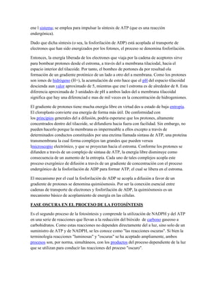 ene l sistema; se emplea para impulsar la síntesis de ATP (que es una reacción
endergónica).
Dado que dicha síntesis (o sea, la fosforilación de ADP) está acoplada al transporte de
electrones que han sido energizados por los fotones, el proceso se denomina fosforilación.
Entonces, la energía liberada de los electrones que viaja por la cadena de aceptores sirve
para bombear protones desde el estroma, a través del a membrana tilaciodal, hacia el
espacio interior del tilacoide. Por tanto, el bombeo de portones da por resultad ola
formación de un gradiente protónico de un lado a otro del a membrana. Como los protones
son iones de hidrógeno (H+), la acumulación de esto hace que el pH del espacio tilacoidal
descienda aun valor aproximado de 5, mientras que ene l estroma es de alrededor de 8. Esta
diferencia aproximada de 3 unidades de pH a ambos lados del a membrana tilacoidal
significa que hay una diferenciad e mas de mil veces en la concentración de hidrogeniones.
El gradiente de protones tiene mucha energía libre en virtud des u estado de baja entropía.
El cloroplasto convierte esa energía de forma más útil. De conformidad con
los principios generales del a difusión, podría esperarse que los protones, altamente
concentrados dentro del tilacoide, se difundiera hacia fuera con facilidad. Sin embargo, no
pueden hacerlo porque la membrana es impermeable a ellos excepto a través de
determinados conductos constituidos por una enzima llamada sintasa de ATP, una proteína
transmembrana la cual forma complejos tan grandes que pueden versea
lmicroscopio electrónico, y que se proyectan hacia el estroma. Conforme los protones se
difunden a través de un complejo de sintasa de ATP, la energía libre disminuye como
consecuencia de un aumento de la entropía. Cada uno de tales complejos acopla este
proceso exergónico de difusión a través de un gradiente de concentración con el proceso
endergónico de la fosforilación de ADP para formar ATP, el cual se libera en el estroma.
El mecanismo por el cual la fosforilación de ADP se acopla a difusión a favor de un
gradiente de protones se denomina quimiósmosis. Por ser la conexión esencial entre
cadenas de transporte de electrones y fosforilación de ADP, la quimiósmosis es un
mecanismo básico de acoplamiento de energía en las células.
FASE OSCURA EN EL PROCESO DE LA FOTOSÍNTESIS
Es el segundo proceso de la fotosíntesis y comprende la utilización de NADPH y del ATP
en una serie de reacciones que llevan a la reducción del bióxido de carbono gaseoso a
carbohidratos. Como estas reacciones no dependen directamente del a luz, sino solo de un
suministro de ATP y de NADPH, se les conoce como "las reacciones oscuras". Si bien la
terminología reacciones "luminosas" y "oscuras" se ha aceptado ampliamente, ambos
procesos son, por norma, simultáneos, con los productos del proceso dependiente de la luz
que se utilizan para conducir las reacciones del proceso "oscuro".

 