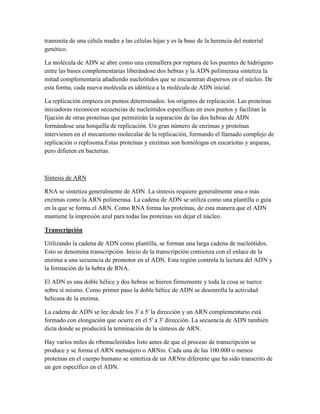 transmita de una célula madre a las células hijas y es la base de la herencia del material
genético.
La molécula de ADN se abre como una cremallera por ruptura de los puentes de hidrógeno
entre las bases complementarias liberándose dos hebras y la ADN polimerasa sintetiza la
mitad complementaria añadiendo nucleótidos que se encuentran dispersos en el núcleo. De
esta forma, cada nueva molécula es idéntica a la molécula de ADN inicial.
La replicación empieza en puntos determinados: los orígenes de replicación. Las proteínas
iniciadoras reconocen secuencias de nucleótidos específicas en esos puntos y facilitan la
fijación de otras proteínas que permitirán la separación de las dos hebras de ADN
formándose una horquilla de replicación. Un gran número de enzimas y proteínas
intervienen en el mecanismo molecular de la replicación, formando el llamado complejo de
replicación o replisoma.Estas proteínas y enzimas son homólogas en eucariotas y arqueas,
pero difieren en bacterias.

Síntesis de ARN
RNA se sintetiza generalmente de ADN. La síntesis requiere generalmente una o más
enzimas como la ARN polimerasa. La cadena de ADN se utiliza como una plantilla o guía
en la que se forma el ARN. Como RNA forma las proteínas, de esta manera que el ADN
mantiene la impresión azul para todas las proteínas sin dejar el núcleo.
Transcripción
Utilizando la cadena de ADN como plantilla, se forman una larga cadena de nucleótidos.
Esto se denomina transcripción. Inicio de la transcripción comienza con el enlace de la
enzima a una secuencia de promotor en el ADN. Esta región controla la lectura del ADN y
la formación de la hebra de RNA.
El ADN es una doble hélice y dos hebras se hieren firmemente y toda la cosa se tuerce
sobre sí mismo. Como primer paso la doble hélice de ADN se desenrolla la actividad
helicasa de la enzima.
La cadena de ADN se lee desde los 3' a 5' la dirección y un ARN complementario está
formado con elongación que ocurre en el 5' a 3' dirección. La secuencia de ADN también
dicta donde se producirá la terminación de la síntesis de ARN.
Hay varios miles de ribonucleótidos listo antes de que el proceso de transcripción se
produce y se forma el ARN mensajero o ARNm. Cada una de las 100.000 o menos
proteínas en el cuerpo humano se sintetiza de un ARNm diferente que ha sido transcrito de
un gen específico en el ADN.

 