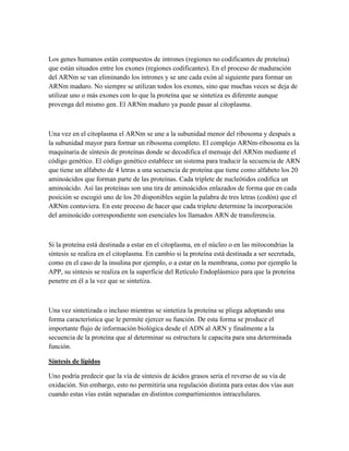 Los genes humanos están compuestos de intrones (regiones no codificantes de proteína)
que están situados entre los exones (regiones codificantes). En el proceso de maduración
del ARNm se van eliminando los intrones y se une cada exón al siguiente para formar un
ARNm maduro. No siempre se utilizan todos los exones, sino que muchas veces se deja de
utilizar uno o más exones con lo que la proteína que se sintetiza es diferente aunque
provenga del mismo gen. El ARNm maduro ya puede pasar al citoplasma.

Una vez en el citoplasma el ARNm se une a la subunidad menor del ribosoma y después a
la subunidad mayor para formar un ribosoma completo. El complejo ARNm-ribosoma es la
maquinaria de síntesis de proteínas donde se decodifica el mensaje del ARNm mediante el
código genético. El código genético establece un sistema para traducir la secuencia de ARN
que tiene un alfabeto de 4 letras a una secuencia de proteína que tiene como alfabeto los 20
aminoácidos que forman parte de las proteínas. Cada triplete de nucleótidos codifica un
aminoácido. Así las proteínas son una tira de aminoácidos enlazados de forma que en cada
posición se escogió uno de los 20 disponibles según la palabra de tres letras (codón) que el
ARNm contuviera. En este proceso de hacer que cada triplete determine la incorporación
del aminoácido correspondiente son esenciales los llamados ARN de transferencia.

Si la proteína está destinada a estar en el citoplasma, en el núcleo o en las mitocondrias la
síntesis se realiza en el citoplasma. En cambio si la proteína está destinada a ser secretada,
como en el caso de la insulina por ejemplo, o a estar en la membrana, como por ejemplo la
APP, su síntesis se realiza en la superficie del Retículo Endoplásmico para que la proteína
penetre en él a la vez que se sintetiza.

Una vez sintetizada o incluso mientras se sintetiza la proteína se pliega adoptando una
forma característica que le permite ejercer su función. De esta forma se produce el
importante flujo de información biológica desde el ADN al ARN y finalmente a la
secuencia de la proteína que al determinar su estructura le capacita para una determinada
función.
Síntesis de lípidos
Uno podría predecir que la vía de síntesis de ácidos grasos seria el reverso de su vía de
oxidación. Sin embargo, esto no permitiría una regulación distinta para estas dos vías aun
cuando estas vías están separadas en distintos compartimientos intracelulares.

 