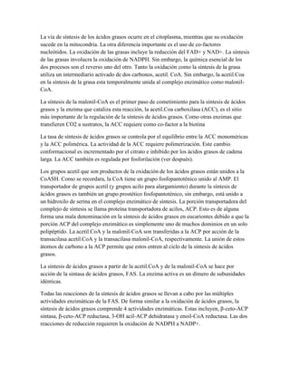 La vía de síntesis de los ácidos grasos ocurre en el citoplasma, mientras que su oxidación
sucede en la mitocondria. La otra diferencia importante es el uso de co-factores
nucleótidos. La oxidación de las grasas incluye la reducción del FAD+ y NAD+. La síntesis
de las grasas involucra la oxidación de NADPH. Sin embargo, la química esencial de los
dos procesos son el reverso uno del otro. Tanto la oxidación como la síntesis de la grasa
utiliza un intermediario activado de dos carbonos, acetil. CoA. Sin embargo, la acetil.Coa
en la síntesis de la grasa esta temporalmente unida al complejo enzimático como malonilCoA.
La síntesis de la malonil-CoA es el primer paso de cometimiento para la síntesis de ácidos
grasos y la enzima que cataliza esta reacción, la acetil.Coa carboxilasa (ACC), es el sitio
más importante de la regulación de la síntesis de ácidos grasos. Como otras enzimas que
transfieren CO2 a sustratos, la ACC requiere como co-factor a la biotina
La tasa de síntesis de ácidos grasos se controla por el equilibrio entre la ACC monoméricas
y la ACC polimérica. La actividad de la ACC requiere polimerización. Este cambio
conformacional es incrementado por el citrato e inhibido por los ácidos grasos de cadena
larga. La ACC también es regulada por fosforilación (ver después).
Los grupos acetil que son productos de la oxidación de los ácidos grasos están unidos a la
CoASH. Como se recordara, la CoA tiene un grupo fosfopantoténico unido al AMP. El
transportador de grupos acetil (y grupos acilo para alargamiento) durante la síntesis de
ácidos grasos es también un grupo prostético fosfopantoténico, sin embargo, está unido a
un hidroxilo de serina en el complejo enzimático de síntesis. La porción transportadora del
complejo de síntesis se llama proteína transportadora de acilos, ACP. Esto es de alguna
forma una mala denominación en la síntesis de ácidos grasos en eucariontes debido a que la
porción ACP del complejo enzimático es simplemente uno de muchos dominios en un solo
polipéptido. La acetil.CoA y la malonil-CoA son transferidas a la ACP por acción de la
transacilasa acetil.CoA y la transacilasa malonil-CoA, respectivamente. La unión de estos
átomos de carbono a la ACP permite que estos entren al ciclo de la síntesis de ácidos
grasos.
La síntesis de ácidos grasos a partir de la acetil.CoA y de la malonil-CoA se hace por
acción de la sintasa de ácidos grasos, FAS. La enzima activa es un dímero de subunidades
idénticas.
Todas las reacciones de la síntesis de ácidos grasos se llevan a cabo por las múltiples
actividades enzimáticas de la FAS. De forma similar a la oxidación de ácidos grasos, la
síntesis de ácidos grasos comprende 4 actividades enzimáticas. Estas incluyen, β-ceto-ACP
sintasa, β-ceto-ACP reductasa, 3-OH acil-ACP dehidratasa y enoil-CoA reductasa. Las dos
reacciones de reducción requieren la oxidación de NADPH a NADP+.

 