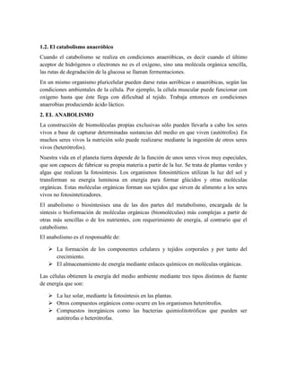1.2. El catabolismo anaeróbico
Cuando el catabolismo se realiza en condiciones anaeróbicas, es decir cuando el último
aceptor de hidrógenos o electrones no es el oxígeno, sino una molécula orgánica sencilla,
las rutas de degradación de la glucosa se llaman fermentaciones.
En un mismo organismo pluricelular pueden darse rutas aeróbicas o anaeróbicas, según las
condiciones ambientales de la célula. Por ejemplo, la célula muscular puede funcionar con
oxígeno hasta que éste llega con dificultad al tejido. Trabaja entonces en condiciones
anaerobias produciendo ácido láctico.
2. EL ANABOLISMO
La construcción de biomoléculas propias exclusivas sólo pueden llevarla a cabo los seres
vivos a base de capturar determinadas sustancias del medio en que viven (autótrofos). En
muchos seres vivos la nutrición solo puede realizarse mediante la ingestión de otros seres
vivos (heterótrofos).
Nuestra vida en el planeta tierra depende de la función de unos seres vivos muy especiales,
que son capaces de fabricar su propia materia a partir de la luz. Se trata de plantas verdes y
algas que realizan la fotosíntesis. Los organismos fotosintéticos utilizan la luz del sol y
transforman su energía luminosa en energía para formar glúcidos y otras moléculas
orgánicas. Estas moléculas orgánicas forman sus tejidos que sirven de alimento a los seres
vivos no fotosintetizadores.
El anabolismo o biosíntesises una de las dos partes del metabolismo, encargada de la
síntesis o bioformación de moléculas orgánicas (biomoléculas) más complejas a partir de
otras más sencillas o de los nutrientes, con requerimiento de energía, al contrario que el
catabolismo.
El anabolismo es el responsable de:
 La formación de los componentes celulares y tejidos corporales y por tanto del
crecimiento.
 El almacenamiento de energía mediante enlaces químicos en moléculas orgánicas.
Las células obtienen la energía del medio ambiente mediante tres tipos distintos de fuente
de energía que son:
 La luz solar, mediante la fotosíntesis en las plantas.
 Otros compuestos orgánicos como ocurre en los organismos heterótrofos.
 Compuestos inorgánicos como las bacterias quimiolitotróficas que pueden ser
autótrofas o heterótrofas.

 