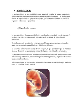 1. REPRODUCCION:
La reproducción es un proceso biológico que permite la creación de nuevos organismos,
siendo una característica común de todas las formas de vida conocidas. Las modalidades
básicas de reproducción se agrupan en dos tipos, que reciben los nombres de asexual o
vegetativa y de sexual o generativa.

1.1 Reproducción humana:

La reproducción es el mecanismo biológico por el cuál se perpetúa la especie humana. A
través de este proceso se transmiten los caracteres de la especie de generación en
generación.
En los humanos, la reproducción es de tipo sexual, lo que quiere decir que existen dos
sexos con características morfológicas y fisiológicas diferentes.
El desarrollo del nuevo individuo es de tipo vivíparo, lo que quiere decir que las primeras
fases del desarrollo se realizan en el interior de órganos especializados de la madre.
El proceso de desarrollo de una nueva vida comienza cuando se unen dos células sexuales,
la masculina y la femenina, denominadas genéricamente gametos, y al proceso de unión se
le denomina fecundación.
Recuerda que parte de las funciones del aparato reproductor están reguladas por hormonas,
como ya viste en la unidad anterior.

 
