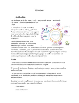 Ciclo celular

El ciclo celular
Las células que se dividen pasan a través e una secuencia regular y repetitiva de
crecimiento y división conocida como ciclo
celular
El ciclo celular se divide en tres fases
principales, interface, mitosis, y citositosis.
Para completarse puede requerir desde pocas
horas hasta varios días, dependiendo del tipo
de célula y de factores externos como la
temperatura
En un organismo multicelular es de
importancia crítica que las células de los
diferentes tipos celulares se dividan a
velocidad suficiente como para producir todas las células que sean necesarias para el
crecimiento y reemplazo, y que se produzcan solo en cantidad necesaria. Si un tipo
particular de célula se divide un poco mas de lo necesario, la organización y las funciones
normales del organismo pueden interrumpirse, ya que los tejidos especializados son
inválidos y sobrepasados por las células en rápida división
Mitosis
La función de la mitosis es distribuir los cromosomas duplicados de modo tal que cada
célula nueva obtenga un complemento de dotación completa
El proceso de la mitosis se divide convencionalmente en cuatro fases: profase, metafase,
anafase y telofase
La capacidad de la célula para llevar a cabo esta distribución depende del estado
condensado de los cromosomas durante la mitosis y del ensamble de micro túbulos
denominado huso
Cuando el huso está completamente formado es una estructura tridimensional elíptica que
consiste al menos en dos grupos de micro túbulos
Fibras polares
Fibras cinetocoricas

 