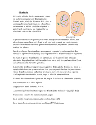 Citocinesis
En células animales, la citocinesis ocurre cuando
un anillo fibroso compuesto de una proteína
llamada actina, alrededor del centro de la célula se
contrae pellizcando la célula en dos células hijas,
cada una con su núcleo. En células vegetales, la
pared rígida requiere que una placa celular sea
sintetizada entre las dos células hijas.

Reproducción asexual (Vegetativa) Una forma de duplicación usando solo mitosis. Por
ejemplo, una nueva planta crece desde la raíz o un brote crece de una planta existente.
Produce solamente descendientes genéticamente idénticos porque todas las mitosis se
realizan por mitosis.
Los descendientes, llamados clones, son una copia exacta del organismo original. Este
método de reproducción es rápido y efectivo permitiendo la diseminación de un organismo.
En razón de que los descendientes son idénticos, no hay mecanismo para introducir
diversidad. Reproducción sexual Formación de un nuevo individuo por la combinación de
dos células sexuales haploides (gametos).
Fertilización- combinación de información genética de dos células distintas que tienen la
mitad de la información genética original. Los gametos para la fertilización generalmente
vienen de padres distintos. La hembra- produce un huevo. El macho produce esperma.
Ambos gametos son haploides, con un juego, la mitad de los cromosomas.
El nuevo individuo se llama cigoto, con dos juegos, la totalidad de cromosomas (diploide).
Los cromosomas en la célula diploide:
Juego diploide de los humanos; 2n = 46
Autosómicos; cromosomas homólogos, uno de cada padre (humanos = 22 juegos de 2)
Cromosomas sexuales (los humanos tienen 1 juego)
En la hembra- los cromosomas sexuales son homólogos (XX)
En el macho-los cromosomas no son-homólogos (XY)Cariotipeado

 