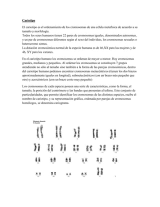 Cariotipo
El cariotipo es el ordenamiento de los cromosomas de una célula metafísica de acuerdo a su
tamaño y morfología.
Todos los seres humanos tienen 22 pares de cromosomas iguales, denominados autosomas,
y un par de cromosomas diferentes según el sexo del individuo, los cromosomas sexuales o
heterocromo somas.
La dotación cromosómica normal de la especie humana es de 46,XX para las mujeres y de
46, XY para los varones.
En el cariotipo humano los cromosomas se ordenan de mayor a menor. Hay cromosomas
grandes, medianos y pequeños. Al ordenar los cromosomas se constituyen 7 grupos
atendiendo no sólo al tamaño sino también a la forma de las parejas cromosómicas, dentro
del cariotipo humano podemos encontrar cromosomas metacéntricos (tienen los dos brazos
aproximadamente iguales en longitud), submetacéntricos (con un brazo más pequeño que
otro) y acrocéntricos (con un brazo corto muy pequeño)
Los cromosomas de cada especie poseen una serie de características, como la forma, el
tamaño, la posición del centrómero y las bandas que presentan al teñirse. Este conjunto de
particularidades, que permite identificar los cromosomas de las distintas especies, recibe el
nombre de cariotipo, y su representación gráfica, ordenada por parejas de cromosomas
homólogos, se denomina cariograma.

 