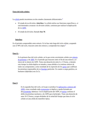 Fases del ciclo celular:

La célula puede encontrarse en dos estados claramente diferenciados:3
El estado de no división o interface. La célula realiza sus funciones específicas y, si
está destinada a avanzar a la división celular, comienza por realizar la duplicación
de su ADN.
El estado de división, llamado fase M.

Interface
Es el período comprendido entre mitosis. Es la fase más larga del ciclo celular, ocupando
casi el 90% del ciclo, trascurre entre dos mitosis y comprende tres etapas:4

Fase G1 :
Es la primera fase del ciclo celular, en la que existe crecimiento celular con síntesis
de proteínas y de ARN. Es el período que trascurre entre el fin de una mitosis y el
inicio de la síntesis de ADN. Tiene una duración de entre 6 y 12 horas, y durante
este tiempo la célula duplica su tamaño y masa debido a la continua síntesis de
todos sus componentes, como resultado de la expresión de los genes que codifican
las proteínas responsables de su fenotipo particular. En cuanto a carga genética, en
humanos (diploides) son 2n 2c.

Fase S
Es la segunda fase del ciclo, en la que se produce la replicación o síntesis del
ADN, como resultado cada cromosoma se duplica y queda formado por
doscromátidas idénticas. Con la duplicación del ADN, el núcleo contiene el
doble de proteínas nucleares y de ADN que al principio. Tiene una duración de
unas 10-12 horas y ocupa alrededor de la mitad del tiempo que dura el ciclo
celular en una célula de mamífero típica.

 