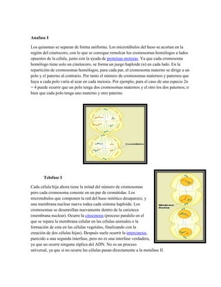 Anafase I
Los quiasmas se separan de forma uniforme. Los microtúbulos del huso se acortan en la
región del cinetocoro, con lo que se consigue remolcar los cromosomas homólogos a lados
opuestos de la célula, junto con la ayuda de proteínas motoras. Ya que cada cromosoma
homólogo tiene solo un cinetocoro, se forma un juego haploide (n) en cada lado. En la
repartición de cromosomas homólogos, para cada par, el cromosoma materno se dirige a un
polo y el paterno al contrario. Por tanto el número de cromosomas maternos y paternos que
haya a cada polo varía al azar en cada meiosis. Por ejemplo, para el caso de una especie 2n
= 4 puede ocurrir que un polo tenga dos cromosomas maternos y el otro los dos paternos; o
bien que cada polo tenga uno materno y otro paterno.

Telofase I
Cada célula hija ahora tiene la mitad del número de cromosomas
pero cada cromosoma consiste en un par de cromátidas. Los
microtubulos que componen la red del huso mitótico desaparece, y
una membrana nuclear nueva rodea cada sistema haploide. Los
cromosomas se desenrollan nuevamente dentro de la carioteca
(membrana nuclear). Ocurre la citocinesis (proceso paralelo en el
que se separa la membrana celular en las células animales o la
formación de esta en las células vegetales, finalizando con la
creación de dos células hijas). Después suele ocurrir la intercinesis,
parecido a una segunda interfase, pero no es una interfase verdadera,
ya que no ocurre ninguna réplica del ADN. No es un proceso
universal, ya que si no ocurre las células pasan directamente a la metafase II.

 