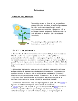 La fotosíntesis

Generalidades sobre la fotosíntesis

Fotosíntesis, proceso en virtud del cual los organismos
con clorofila, como las plantas verdes, las algas y algunas
bacterias, capturan energía en forma de luz y la
transforman en energía química. Prácticamente toda la
energía que consume la vida de la biósfera terrestre —la
zona del planeta en la cual hay vida— procede de la
fotosíntesis.

Una ecuación generalizada y no equilibrada de la
fotosíntesis en presencia de luz sería:

CO2 + 2H2A → (CH2) + H2O + H2A
El elemento H2A de la fórmula representa un compuesto oxidable, es decir, un compuesto
del cual se pueden extraer electrones; CO2 es el dióxido de carbono; CH2 una
generalización de los hidratos de carbono que incorpora el organismo vivo. En la gran
mayoría de los organismos fotosintéticos, es decir, en las algas y las plantas verdes, H2A es
agua (H2O); pero en algunas bacterias fotosintéticas, H2A es anhídrido sulfúrico (H2S). La
fotosíntesis con agua es la más importante y conocida y, por tanto, será la que tratemos con
detalle.
La fotosíntesis se realiza en dos etapas: una serie de reacciones que dependen de la luz y
son independientes de la temperatura, y otra serie que dependen de la temperatura y son
independientes de la luz. La velocidad de la primera etapa, llamada reacción lumínica,
aumenta con la intensidad luminosa (dentro de ciertos límites), pero no con la temperatura.
En la segunda etapa, llamada reacción en la oscuridad, la velocidad aumenta con la
temperatura (dentro de ciertos límites), pero no con la intensidad luminosa.
La fotosíntesis es el mecanismo por el cual se puede garantizar que la vida sobre la tierra no
llegue a su fin por falta de energía. En esencia consiste en la liberación
de oxigeno integrante de la molécula de agua y el almacenamiento del poder resultante en
numerosos compuestos carbonados que constituyen la materia viva. Es un proceso de
oxidorreducción en que un donador de electrones, el agua, se oxida y un aceptor, el

 