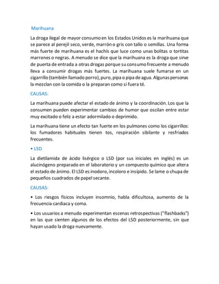 Marihuana
La droga ilegal de mayor consumo en los Estados Unidos es la marihuana que
se parece al perejil seco, verde, marrón o gris con tallo o semillas. Una forma
más fuerte de marihuana es el hachís que luce como unas bolitas o tortitas
marrones o negras. A menudo se dice que la marihuana es la droga que sirve
de puerta de entrada a otras drogas porque su consumo frecuente a menudo
lleva a consumir drogas más fuertes. La marihuana suele fumarse en un
cigarrillo (también llamado porro),puro,pipa o pipa deagua. Algunaspersonas
la mezclan con la comida o la preparan como si fuera té.
CAUSAS:
La marihuana puede afectar el estado de ánimo y la coordinación. Los que la
consumen pueden experimentar cambios de humor que oscilan entre estar
muy excitado o feliz a estar adormilado o deprimido.
La marihuana tiene un efecto tan fuerte en los pulmones como los cigarrillos:
los fumadores habituales tienen tos, respiración sibilante y resfriados
frecuentes.
• LSD
La dietilamida de ácido lisérgico o LSD (por sus iniciales en inglés) es un
alucinógeno preparado en el laboratorio y un compuesto químico que altera
el estado de ánimo. El LSD es inodoro, incoloro e insípido. Se lame o chupa de
pequeños cuadrados de papel secante.
CAUSAS:
• Los riesgos físicos incluyen insomnio, habla dificultosa, aumento de la
frecuencia cardiaca y coma.
• Los usuarios a menudo experimentan escenas retrospectivas ("flashbacks")
en las que sienten algunos de los efectos del LSD posteriormente, sin que
hayan usado la droga nuevamente.
 