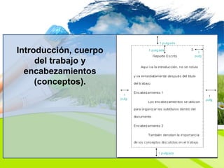 Introducción, cuerpo
del trabajo y
encabezamientos
(conceptos).
 