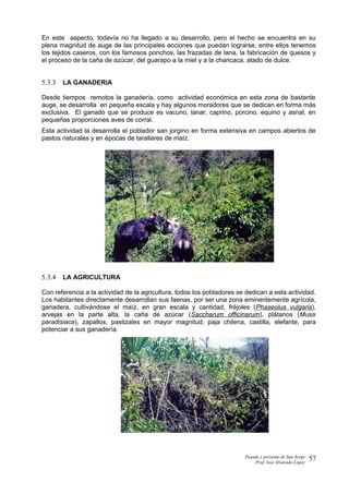 En este aspecto, todavía no ha llegado a su desarrollo, pero el hecho se encuentra en su
plena magnitud de auge de las principales acciones que puedan lograrse, entre ellos tenemos
los tejidos caseros, con los famosos ponchos, las frazadas de lana, la fabricación de quesos y
el proceso de la caña de azúcar, del guarapo a la miel y a la chancaca, atado de dulce.
5.3.3 LA GANADERIA
Desde tiempos remotos la ganadería, como actividad económica en esta zona de bastante
auge, se desarrolla en pequeña escala y hay algunos moradores que se dedican en forma más
exclusiva. El ganado que se produce es vacuno, lanar, caprino, porcino, equino y asnal, en
pequeñas proporciones aves de corral.
Esta actividad la desarrolla el poblador san jorgino en forma extensiva en campos abiertos de
pastos naturales y en épocas de tarallares de maíz.
5.3.4 LA AGRICULTURA
Con referencia a la actividad de la agricultura, todos los pobladores se dedican a esta actividad.
Los habitantes directamente desarrollan sus faenas, por ser una zona eminentemente agrícola,
ganadera, cultivándose el maíz, en gran escala y cantidad, fréjoles (Phaseolus vulgaris),
arvejas en la parte alta, la caña de azúcar (Saccharum officinarum), plátanos (Musa
paradisiaca), zapallos, pastizales en mayor magnitud, paja chilena, castilla, elefante, para
potenciar a sus ganadería.
Pasado y presente de San Jorge
Prof. Isoé Alvarado López
57
 