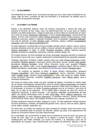5.3.5 LA ALFARERIA
Concretamente en nuestra zona se produce las tejas que van a servir para el techado de sus
casas, ollas de barro, cucharas de palo (de limoncillo) y la fabricación de ladrillos para la
construcción de pequeñas viviendas.
5.4 LA FLORA Y LA FAUNA.
Debido a los diferentes factores, como los diversos microclimas y relieve del suelo que
presenta el territorio de San Jorge, nace una determinada flora, en la que tiene su hábitat,
también una determinada fauna. Desde la parte baja, el clima cálido es característico el cultivo
de la caña de azúcar (Saccharum officinarum), la yuca (Yucea filamentosa), camote (Ipomoea
batata), el limón (Citrus sinensis), paltas (Persea americana), papaya (Carica papaya), ciruela
(Espondia purpurea), plátano y especies forestales como el guayacán (Tabebuya billbergill),
que está en extinción, el ceibo (Bombax ruizil), chamelico, pasayo, hualtaco (Loxopterigium
huasango), palo santo (Burcera graveolens),etc.
En esta vegetación, se desarrolla una fauna variable, ganado vacuno, caprino, equino, porcino,
animales silvestres como los zorros, ardillas y diversa variedad, de pajarillos, como la chiroca
(Icterus mesomelas), el negro, el chilalo (Fumarlus leucopus), reptiles, tenemos iguanas,
lagartijas (Tropidurus occipitales), serpientes, insectos, avispas, abejas, etc.
En la parte céntrica, de clima templado las lluvias veraniegas regulares permiten la existencia
de una flora y fauna más rica y variada, destacando fundamentalmente las siguientes especies:
Cereales, legumbres, hortalizas, frutales naranja (Citrus sp), palta (Persea americana), tumbo,
granadillas (Pasiflora ligularis), chirimoyas (Anona Chirimolia), lúcuma, pacaes (Inga feuillel),
guanábana (Annona muricata), limón (Citrus Sinensis), poma rosa, guayaba (Psidium
guayaba), etc. plátano, café (, yuca (Yucea filamentosa), zanahoria blanca (Daucus carota),
plantas aromáticas y medicinales como berros (Acid Estomago), llantén (Plantago major).
En maderas se destacan el piñan, el faique (Acacia macracanthia), guayaquil
(Guadua angustifolia), caña brava (Gyninum saggitlatum), carrizo, chamelico, puchuguero,
nogal (Junglas regia), higuerón (Ficus weberbauerl) y otros más donde se cobijan ardillas,
zorros (Dusicyon Sechural), viscachas (Lagidiun peruanun), ratas (Rattus rattus), aves y
mamíferos domésticos.
Así mismo en estas zonas, existe una gran cantidad de pájaros, conocidos en nuestro lugar
con el nombre nomatopeicos característicos, como la chiroca (Icterus mesomelas) una especie
de oropéndola, muy codiciada porque en cautiverio aprende a silbar aires muy alegres, la luisa,
el chuquiaque, la chuvisa y el chilalo (Fumarlus leucopus) que es un hornero y que como el
gallo, es un reloj de los lugareños. En la región jalca o planicie de clima frío, donde la
vegetación disminuye, la fauna enrarece. Las especies vegetales, características de esta
región son plantas alimenticias como la haba (Vicia faba), olluco (Ollucus tuberosus), oca
(Oxalis tuberosa), la papa (Solanurn tuberosum), el ajo(Allium sativum), plantas aromáticas
como el lanche, Pulen, salvia real (Cabaya miniature) zuro, angurgo, zarzamora, etc.
Árboles madereros, tenemos el paltón, paltaguiro, el yuto. En esta vegetación habitan especies
de fauna doméstica y silvestre, principalmente ganado ovino, vacuno, aves de rapiña, pájaros,
zorros, grillos, avispas, serpientes, etc.
En estos lares, en antaño fue poblada por gran cantidad de venados, pavas de monte, osos
que en la actualidad están en proceso de extinción, debido que pese a las disposiciones del
estado los comuneros hicieron una casa indiscriminada.
En la actualidad, aún encontramos el tigrillo que se alimenta de aves de corral, las pavas de
monte de color negro con un plumaje en la cabeza a manera de peine. Frente a las
modificaciones del medio ambiente, por acción del hombre y la naturaleza como son la
depredación de bosques, casa indiscriminada, por escasez de alimentos, sequías y fuertes
Pasado y presente de San Jorge
Prof. Isoé Alvarado López
58
 