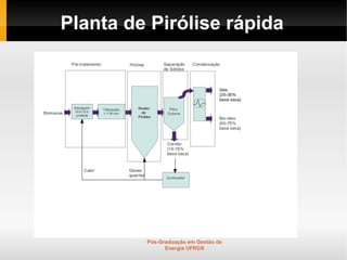 Planta de Pirólise rápida




         Pós-Graduação em Gestão de
               Energia UFRGS
 