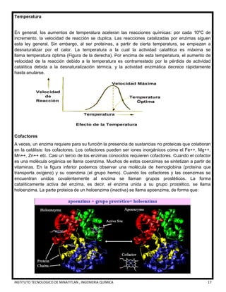 INSTITUTO TECNOLOGICO DE MINATITLAN , INGENIERIA QUÍMICA 17
Temperatura
En general, los aumentos de temperatura aceleran las reacciones químicas: por cada 10ºC de
incremento, la velocidad de reacción se duplica. Las reacciones catalizadas por enzimas siguen
esta ley general. Sin embargo, al ser proteínas, a partir de cierta temperatura, se empiezan a
desnaturalizar por el calor. La temperatura a la cual la actividad catalítica es máxima se
llama temperatura óptima (Figura de la derecha). Por encima de esta temperatura, el aumento de
velocidad de la reacción debido a la temperatura es contrarrestado por la pérdida de actividad
catalítica debida a la desnaturalización térmica, y la actividad enzimática decrece rápidamente
hasta anularse.
Cofactores
A veces, un enzima requiere para su función la presencia de sustancias no proteicas que colaboran
en la catálisis: los cofactores. Los cofactores pueden ser iones inorgánicos como el Fe++, Mg++,
Mn++, Zn++ etc. Casi un tercio de los enzimas conocidos requieren cofactores. Cuando el cofactor
es una molécula orgánica se llama coenzima. Muchos de estos coenzimas se sintetizan a partir de
vitaminas. En la figura inferior podemos observar una molécula de hemoglobina (proteína que
transporta oxígeno) y su coenzima (el grupo hemo). Cuando los cofactores y las coenzimas se
encuentran unidos covalentemente al enzima se llaman grupos prostéticos. La forma
catalíticamente activa del enzima, es decir, el enzima unida a su grupo prostético, se llama
holoenzima. La parte proteica de un holoenzima (inactiva) se llama apoenzima, de forma que:
 