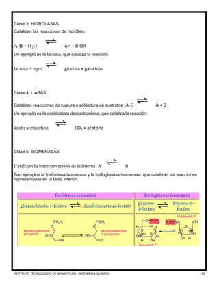 INSTITUTO TECNOLOGICO DE MINATITLAN , INGENIERIA QUÍMICA 19
Clase 3: HIDROLASAS
Catalizan las reacciones de hidrólisis:
A-B + H2O AH + B-OH
Un ejemplo es la lactasa, que cataliza la reacción:
lactosa + agua glucosa + galactosa
Clase 4: LIASAS
Catalizan reacciones de ruptura o soldadura de sustratos: A-B A + B
Un ejemplo es la acetacetato descarboxilasa, que cataliza la reacción:
ácido acetacético CO2 + acetona
Clase 5: ISOMERASAS
Catalizan la interconversión de isómeros: A B
Son ejemplos la fosfotriosa isomerasa y la fosfoglucosa isomerasa, que catalizan las reacciones
representadas en la tabla inferior:
 