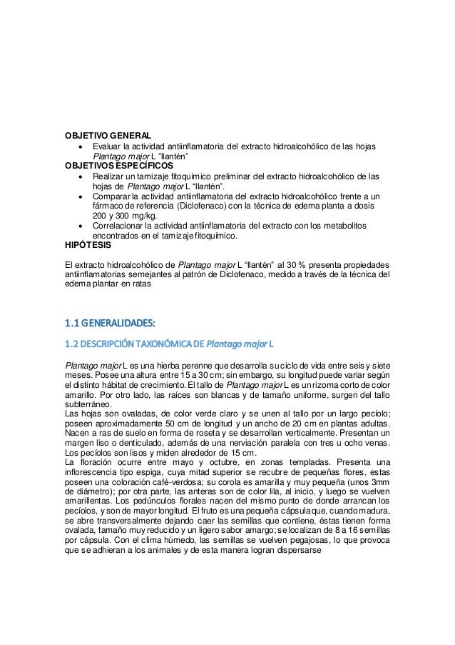 Antiinflamatorio Antiinflamatorio