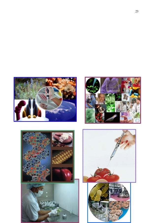 Monografia biotecnologia