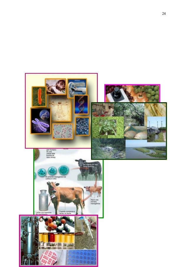 Monografia biotecnologia