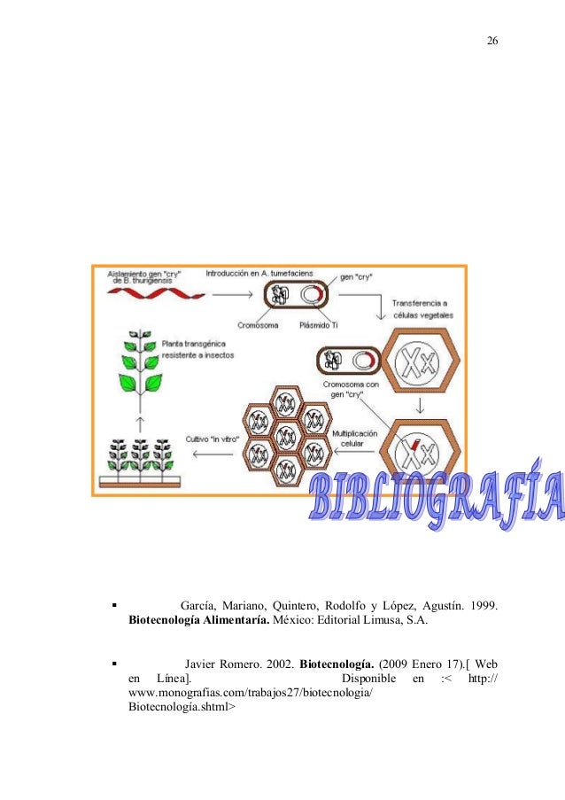 Monografia biotecnologia