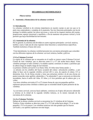 DESARROLLO METODOLOGICO

         -Marco teórico

1. Anatomía y biomecánica de la columna vertebral


1.1-Introducción
La columna vertebral es de extrema importancia en nuestro cuerpo es por eso que es la
parte mas sorprendente y compleja de la anatomía. Sus tres funciones principales son las de
proteger la médula espinal, las raíces nerviosas y varios de los órganos internos del cuerpo,
proporcionar soporte estructural y equilibrio, a fin de mantener una postura vertical y la de
permitir que haya flexibilidad de movimiento.

1.2.-Anatomía de la columna
Por lo general, la columna está dividida en cuatro regiones principales: cervical, torácica,
lumbar y sacra. Cada una de estas regiones tiene funciones y características específicas.
También incluimos el hueso del coxis.

 Vista lateralmente, la columna vertebral presenta tres curvaturas principales que coinciden
con las diferentes regiones de la columna: cervical, torácica, lumbar y pélvica.

1.3-La Columna Cervical
La región de la columna que se encuentra en el cuello se conoce como Columna Cervical.
Consta de siete vértebras, que se abrevian como C1 a C7 (de arriba hacia abajo). Estas
vértebras protegen el tallo cerebral y la médula espinal, sostienen el cráneo y permiten que
la cabeza tenga un amplio rango de movimiento.
La primera vértebra cervical (C1) se llama Atlas. El Atlas tiene forma anular y
 se articula con los cóndilos del hueso occipital del cráneo -articulación condílea-, y por
abajo lo hace con la segunda vértebra cervical (2C) o axis, da soporte al cráneo. C2 se
denomina Axis. Es de forma circular y tiene una estructura similar a la de una clavija sin
punta (conocida como apófisis odontoides o “la odontoides”), que se proyecta en dirección
ascendente, hacia el anillo del Atlas. El Atlas y el Axis permiten que la cabeza gire y se
voltee.
 Las otras vértebras cervicales (C3 a C7) tienen forma de caja con pequeñas apófisis
espinosas (proyecciones similares a dedos) que se extienden desde la parte posterior de las
vértebras.

 La curvatura cervical, convexa hacia adelante, comienza en el ápice del proceso odontoide
y termina en la mitad de la segunda vértebra torácica, es la menos marcada de las
curvaturas de la columna.

1.4.-La Columna Torácica
Debajo de la última vértebra cervical se encuentran las 12 vértebras de la Columna
Torácica. Estas vértebras se abrevian como T1 a T12 (de arriba hacia abajo). T1 es la más
pequeña y T12 es la mayor. Las vértebras torácicas son más grandes que los huesos
cervicales y sus apófisis espinosas son más largas.
 