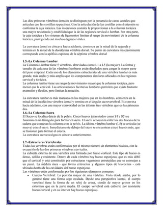 Las diez primeras vértebras dorsales se distinguen por la presencia de caras costales que
articulan con las costillas respectivas. Con la articulación de las costillas con el esternón se
conforma la caja torácica. Las inserciones costales le proporcionan a la columna torácica
una mayor resistencia y estabilidad que la de las regiones cervical o lumbar. Por otra parte,
la caja torácica y los sistemas de ligamentos limitan el rango de movimiento de la columna
torácica, protegiendo así muchos órganos vitales.

La curvatura dorsal es cóncava hacia adelante, comienza en la mitad de la segunda y
termina en la mitad de la duodécima vértebra dorsal. Su punto de curvatura más prominente
corresponde con la apófisis espinosa de la séptima vértebra dorsal

1.5.-La Columna Lumbar
La Columna Lumbar tiene 5 vértebras, abreviadas como L1 a L5 (la mayor). La forma y
tamaño de cada una de las vértebras lumbares están diseñados para cargar la mayor parte
del peso corporal. Cada uno de los elementos estructurales de una vértebra lumbar es más
grande, más ancho y más amplio que los componentes similares ubicados en las regiones
cervical y torácica.
La columna lumbar tiene un rango de movimiento mayor que la columna torácica, pero
menor que la cervical. Las articulaciones facetarias lumbares permiten que exista bastante
extensión y flexión, pero limitan la rotación.

La curvatura lumbar es más marcada en las mujeres que en los hombres, comienza en la
mitad de la duodécima vértebra dorsal y termina en el ángulo sacrovertebral. Es convexa
hacia adelante, con una mayor convexidad en las últimas tres vértebras que en las primeras
dos.
1.6.-La Columna Sacra
El Sacro se localiza detrás de la pelvis. Cinco huesos (abreviados como S1 a S5) se
fusionan en un triángulo para formar el sacro. El sacro se localiza entre los dos huesos de la
cadera que conectan la columna con la pelvis. La última vértebra lumbar (L5) se articula (se
mueve) con el sacro. Inmediatamente debajo del sacro se encuentran cinco huesos más, que
se fusionan para formar el cóccix.
La curvatura sacrococcìgea es cóncava anteriormente.

1.7.-Estructuras Vertebrales
Todas las vértebras están conformadas por el mismo número de elementos básicos, con la
excepción de las dos primeras vértebras cervicales.
La cubierta externa de una vértebra está formada por hueso cortical. Este tipo de hueso es
denso, sólido y resistente. Dentro de cada vértebra hay hueso esponjoso, que es más débil
que el cortical y está constituido por estructuras vagamente entretejidas que se asemejan a
un panal. La médula ósea - que forma eritrocitos y algunos tipos de leucocitos - está
ubicada dentro de las cavidades del hueso esponjoso.
Las vértebras están conformadas por los siguientes elementos comunes:
       Cuerpo Vertebral: La porción mayor de una vértebra. Vista desde arriba, por lo
       general tiene una forma algo ovalada. Desde una perspectiva lateral, el cuerpo
       vertebral tiene la forma de un reloj de arena, siendo de mayor grosor en los
       extremos que en la parte media. El cuerpo vertebral está cubierto por resistente
       hueso cortical y en su interior hay hueso esponjoso.
 
