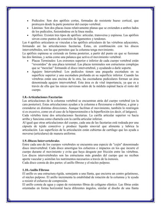 Pedículos: Son dos apófisis cortas, formadas de resistente hueso cortical, que
        protruyen desde la parte posterior del cuerpo vertebral.
        Láminas: Son dos placas óseas relativamente planas que se extienden a ambos lados
        de los pedículos, fusionándose en la línea media.
        Apófisis: Existen tres tipos de apófisis: articular, transversa y espinosa. Las apófisis
        sirven como puntos de conexión de ligamentos y tendones.
Las 4 apófisis articulares se vinculan a las apófisis articulares de las vértebras adyacentes,
formando así las articulaciones facetarias. Éstas, en combinación con los discos
intervertebrales, son las que permiten que la columna tenga movimiento.
La apófisis espinosa se extiende en forma posterior, a partir del punto en que se fusionan
las dos láminas, y actúa como una palanca que activa el movimiento vertebral.
        Placas Terminales: Los extremos superior e inferior de cada cuerpo vertebral están
        “revestidos” de una placa terminal. Las placas terminales son estructuras complejas
        que se “mezclan” formando el disco intervertebral, y ayudando a darle soporte.
        Agujero Intervertebral: Los pedículos tienen una pequeña escotadura en su
        superficie superior y una escotadura profunda en su superficie inferior. Cuando las
        vértebras están una encima de la otra, las escotaduras pediculares forman un área
        denominada agujero intervertebral. Esta área es de vital importancia, ya que es a
        través de ella que las raíces nerviosas salen de la médula espinal hacia el resto del
        cuerpo.

1.8.-Articulaciones Facetarias
Las articulaciones de la columna vertebral se encuentran atrás del cuerpo vertebral (en la
cara posterior). Estas articulaciones ayudan a la columna a flexionarse o doblarse, a girar y
extenderse en distintas direcciones. Aunque facilitan el movimiento, también lo restringen
si es excesivo, como en el caso de la hiperextensión o la hiperflexión (es decir, el latigazo).
Cada vértebra tiene dos articulaciones facetarias. La carilla articular superior ve hacia
arriba y funciona como charnela con la carilla articular inferior.
Al igual que otras articulaciones del cuerpo, cada una de las facetarias está rodeada por una
cápsula de tejido conectivo y produce líquido sinovial que alimenta y lubrica la
articulación. Las superficies de la articulación están cubiertas de cartílago que les ayuda a
moverse (articularse) de manera uniforme.

1.9.-Discos Intervertebrales
Entre cada uno de los cuerpos vertebrales se encuentra una especie de "cojín" denominado
disco intervertebral. Cada disco amortigua los esfuerzos e impactos en los que incurre el
cuerpo durante el movimiento y evita que haya desgaste por fricción entre las vértebras.
Los discos intervertebrales son las estructuras más grandes del cuerpo que no reciben
aporte vascular y asimilan los nutrimentos necesarios a través de la ósmosis.
Cada disco consta de dos partes: el anillo fibroso y el núcleo pulposo.

1.10.-Anillo Fibroso
El anillo es una estructura rígida, semejante a una llanta, que encierra un centro gelatinoso,
el núcleo pulposo. El anillo incrementa la estabilidad de rotación de la columna y le ayuda
a resistir el esfuerzo de compresión.
El anillo consta de agua y capas de resistentes fibras de colágeno elástico. Las fibras están
orientadas en forma horizontal hacia diferentes ángulos, similar al diseño de una llanta
 