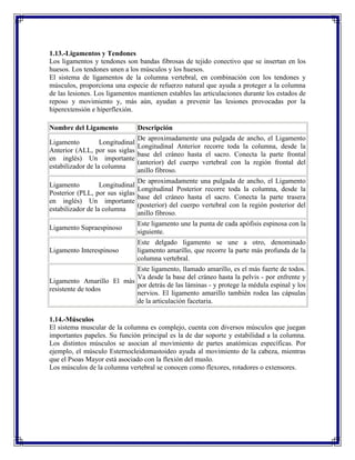 1.13.-Ligamentos y Tendones
Los ligamentos y tendones son bandas fibrosas de tejido conectivo que se insertan en los
huesos. Los tendones unen a los músculos y los huesos.
El sistema de ligamentos de la columna vertebral, en combinación con los tendones y
músculos, proporciona una especie de refuerzo natural que ayuda a proteger a la columna
de las lesiones. Los ligamentos mantienen estables las articulaciones durante los estados de
reposo y movimiento y, más aún, ayudan a prevenir las lesiones provocadas por la
hiperextensión e hiperflexión.

Nombre del Ligamento            Descripción
                                De aproximadamente una pulgada de ancho, el Ligamento
Ligamento          Longitudinal
                                Longitudinal Anterior recorre toda la columna, desde la
Anterior (ALL, por sus siglas
                                base del cráneo hasta el sacro. Conecta la parte frontal
en inglés) Un importante
                                (anterior) del cuerpo vertebral con la región frontal del
estabilizador de la columna
                                anillo fibroso.
                                De aproximadamente una pulgada de ancho, el Ligamento
Ligamento          Longitudinal
                                Longitudinal Posterior recorre toda la columna, desde la
Posterior (PLL, por sus siglas
                                base del cráneo hasta el sacro. Conecta la parte trasera
en inglés) Un importante
                                (posterior) del cuerpo vertebral con la región posterior del
estabilizador de la columna
                                anillo fibroso.
                               Este ligamento une la punta de cada apófisis espinosa con la
Ligamento Supraespinoso
                               siguiente.
                               Este delgado ligamento se une a otro, denominado
Ligamento Interespinoso        ligamento amarillo, que recorre la parte más profunda de la
                               columna vertebral.
                          Este ligamento, llamado amarillo, es el más fuerte de todos.
                          Va desde la base del cráneo hasta la pelvis - por enfrente y
Ligamento Amarillo El más
                          por detrás de las láminas - y protege la médula espinal y los
resistente de todos
                          nervios. El ligamento amarillo también rodea las cápsulas
                          de la articulación facetaria.

1.14.-Músculos
El sistema muscular de la columna es complejo, cuenta con diversos músculos que juegan
importantes papeles. Su función principal es la de dar soporte y estabilidad a la columna.
Los distintos músculos se asocian al movimiento de partes anatómicas específicas. Por
ejemplo, el músculo Esternocleidomastoideo ayuda al movimiento de la cabeza, mientras
que el Psoas Mayor está asociado con la flexión del muslo.
Los músculos de la columna vertebral se conocen como flexores, rotadores o extensores.
 