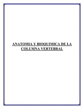 ANATOMIA Y BIOQUIMICA DE LA
   COLUMNA VERTEBRAL
 