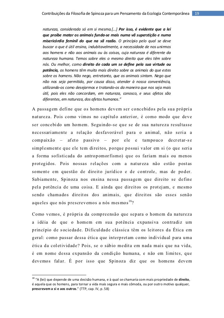 Monografia ufrj