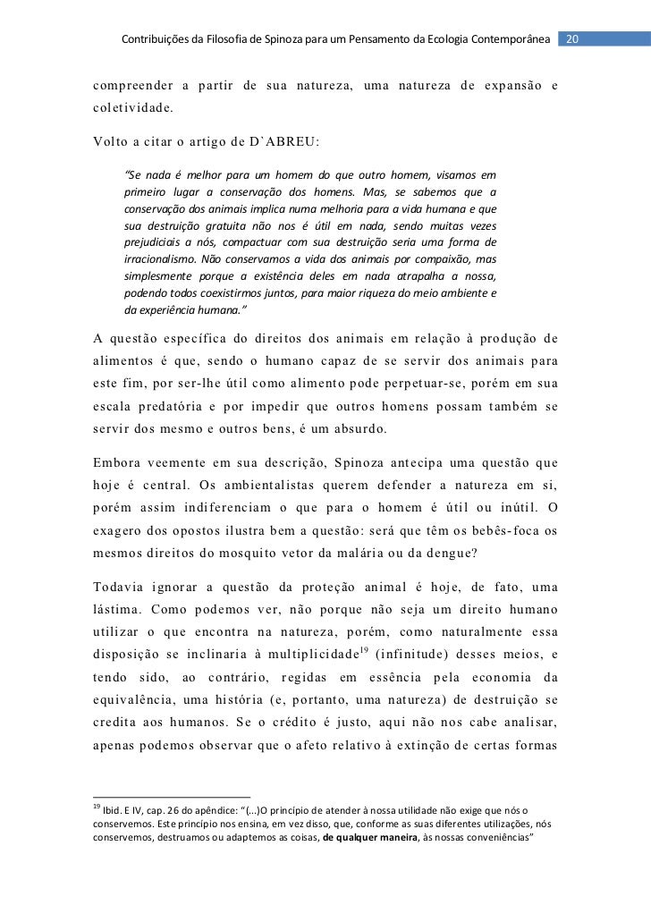Monografia ufrj