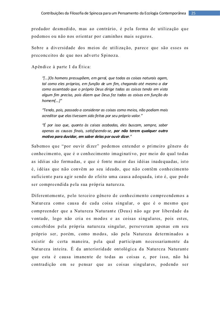 Monografia ufrj