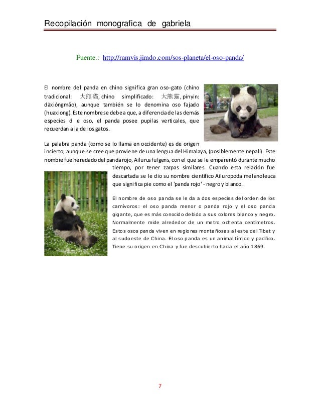 Monografia de gabriela san rroman { el oso panda }