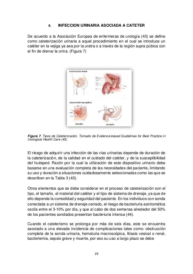 Infección urinaria asociada a catéter vesical Infección urinaria asociada a catéter vesical