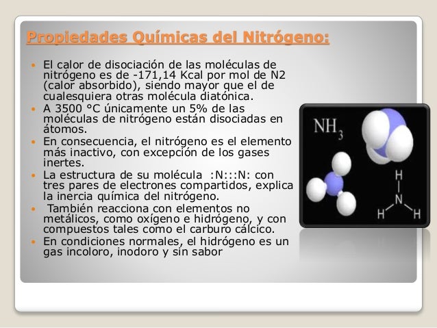 Monografia del nitrogeno