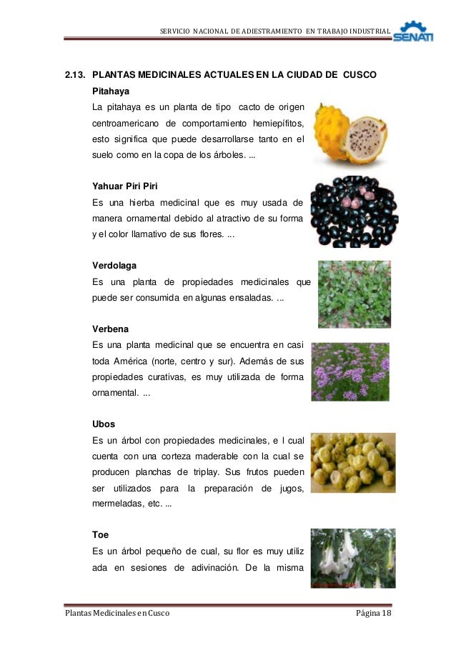 Monografia de plantas medicinales Monografia de plantas medicinales