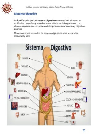 Instituto superior tecnológico público Tupac Amaru del Cusco
2
Sistema digestivo
La función principal del sistema digestivo es convertir el alimento en
moléculas pequeñas y hacerlas pasar al interior del organismo. Los
alimentos pasan por un proceso de fragmentación mecánica y digestión
química
Mencionaremos las partes de sistema digestivos para su estudio
individual y son:
 