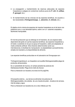 2. La propagación y mantenimiento de reservas adecuadas de especies
hospederas (o plagas) sin contaminar (cultivos puros de P. citri, S. coffeae,
P. gossypii, etc.)
3. El mantenimiento de las crianzas de las especies benéficas, de acuerdo a
las necesidades (Trichogrammaspp., L. abnormis, A. citrícola, etc.).
El objetivo de la crianza de especies de insectos hospederos es el de tener una
población pura, a una densidad óptima, sobre o en un substrato aceptable y
fácilmente manipulable.
El nivel de producción que se obtenga en el insectario, de una especie dada,
dependerá del grado al cual las especies benéficas, las especies hospederas y
el medio o substrato en el que se apoya el hospedero, estén pre-adaptadas al
medio ambiente artificial. Otros factores determinantes serán sus
interrelaciones, la facilidad de manipulación, la adaptabilidad a procedimientos
simples de insectario y la disponibilidad de alimento.
Las especies benéficas producidas en el Laboratorio de Chongoyape son:
Trichogrammapretiosum, su hospedero es la polilla Sitotrogacerealella plaga de
productos almacenados.
Es un parasitoide de huevos, en campo parasita las posturas de
Diatraeasaccharalis: Plaga de la Caña de Azúcar.
Para su liberación se necesita una dosis de 50 pulg2/Há.
Chrysoperla externa, , sus larvas se alimentan de posturas de
Sitotrogacerealella y los adultos de una mezcla de polen , levadura de cerveza,
miel de abeja y agua.
Para su liberación se necesita de uno a dos millares por Há.
 