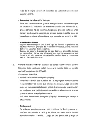 regla de 3 simple se haya el porcentaje de viabilidad que debe ser
superior al 80%.
- Porcentaje de infestación de trigo
Sirve para determinar si los gramos de trigo fueron o no infestados por
las larvas de S. cerealella. Se determina sacando una muestra de 10
granos por cada Kg. de substrato, luego cada grano se parte con unas
tijeras y se observa la presencia de larvas o pupas de polilla, luego se
haya el porcentaje de infestación de trigo que debe ser superior a 80%
- Presencia de ácaros
Bajo un estereoscopio o una buena lupa se observa la presencia de
adultos y hembras grávidas de Pyemotesventricosus, ácaro predador
de huevos y adultos de S. cerealella.
Cuando se observe la presencia de este ácaro es preferible eliminar
los huevecillos y dar de baja a los gabinetes que los producen, ya que
debido a su alto grado de reproducción pueden llegar a contaminar
toda la crianza rápidamente.
2. Control de calidad oficial: es el que se realiza en el Centro de Control
Biológico, debe efectuarse cada 3 meses y la muestra debe ser tomada
por los Especialistas del SENASA.
Consiste en determinar:
- Número de individuos emergidos por pulg.2
Para esto se toman dos muestras de 1/8 de pulgada de las muestras
recepcionadas y se espera que emerjan las avispas, luego se cuenta
todos los huevos parasitados con orificio de emergencia, se promedian
los resultados y se multiplica por 8 para obtener el número de avispas
que emergen de una pulgada cuadrada.
El número de individuos emergidos por pulg.2 debe ser igual o mayor a
2400 avispas.
- Ratio sexual
Se colocan aproximadamente 100 individuos de Trichogramma en
hidróxido de potasio al 10% y se hierve en baño María durante
aproximadamente 1 minuto. Luego en una placa petri y bajo un
 