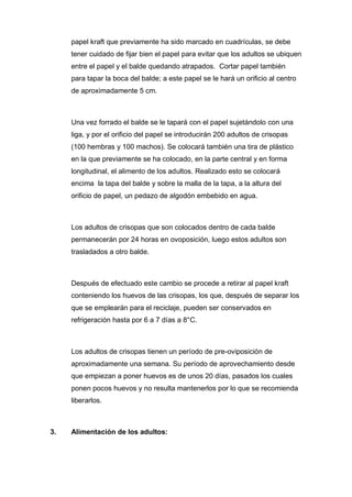 papel kraft que previamente ha sido marcado en cuadrículas, se debe
tener cuidado de fijar bien el papel para evitar que los adultos se ubiquen
entre el papel y el balde quedando atrapados. Cortar papel también
para tapar la boca del balde; a este papel se le hará un orificio al centro
de aproximadamente 5 cm.
Una vez forrado el balde se le tapará con el papel sujetándolo con una
liga, y por el orificio del papel se introducirán 200 adultos de crisopas
(100 hembras y 100 machos). Se colocará también una tira de plástico
en la que previamente se ha colocado, en la parte central y en forma
longitudinal, el alimento de los adultos. Realizado esto se colocará
encima la tapa del balde y sobre la malla de la tapa, a la altura del
orificio de papel, un pedazo de algodón embebido en agua.
Los adultos de crisopas que son colocados dentro de cada balde
permanecerán por 24 horas en ovoposición, luego estos adultos son
trasladados a otro balde.
Después de efectuado este cambio se procede a retirar al papel kraft
conteniendo los huevos de las crisopas, los que, después de separar los
que se emplearán para el reciclaje, pueden ser conservados en
refrigeración hasta por 6 a 7 días a 8°C.
Los adultos de crisopas tienen un período de pre-oviposición de
aproximadamente una semana. Su período de aprovechamiento desde
que empiezan a poner huevos es de unos 20 días, pasados los cuales
ponen pocos huevos y no resulta mantenerlos por lo que se recomienda
liberarlos.
3. Alimentación de los adultos:
 