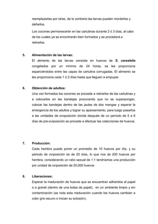 reemplazarlas por otras, de lo contrario las larvas pueden morderlos y
dañarlos.
Los cocones permanecerán en las cartulinas durante 2 ó 3 días, al cabo
de los cuales ya se encontrarán bien formados y se procederá a
retirarlos.
5. Alimentación de las larvas:
El alimento de las larvas consiste en huevos de S. cerealella
congelados por un mínimo de 24 horas, se les proporciona
esparciéndolos entre las capas de cartulina corrugadas. El alimento se
les proporciona cada 1 ó 2 días hasta que lleguen a empupar.
6. Obtención de adultos:
Una vez formados los cocones se procede a retirarlos de las cartulinas y
a colocarlos en las bandejas procurando que no se superpongan,
colocar las bandejas dentro de las jaulas de dos mangas y esperar la
emergencia de los adultos y lograr su apareamiento, para luego pasarlos
a las unidades de ovoposición donde después de un período de 5 a 6
días de pre-oviposición se procede a efectuar las colecciones de huevos.
7. Producción:
Cada hembra puede poner un promedio de 10 huevos por día, y su
periodo de oviposición es de 20 días, lo que nos da 200 huevos por
hembra, considerando un ratio sexual de 1:1 tendríamos una producción
por unidad de oviposición de 20,000 huevos
8. Liberaciones:
Esperar la maduración de huevos que se encuentran adheridos al papel
o a granel (dentro de una bolsa de papel), en un ambiente limpio y sin
contaminación (se nota esta maduración cuando los huevos cambian a
color gris oscuro o inician su eclosión).
 