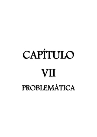CAPÍTULO
VII
PROBLEMÁTICA
 