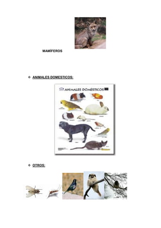 MAMÍFEROS
 ANIMALES DOMESTICOS:
 OTROS:
 