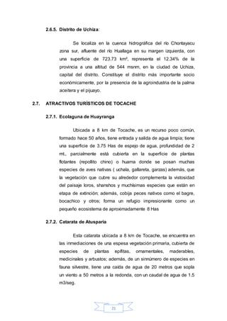 21
2.6.5. Distrito de Uchiza:
Se localiza en la cuenca hidrográfica del río Chontayacu
zona sur, afluente del río Huallaga en su margen izquierda, con
una superficie de 723.73 km², representa el 12.34% de la
provincia a una altitud de 544 msnm, en la ciudad de Uchiza,
capital del distrito. Constituye el distrito más importante socio
económicamente, por la presencia de la agroindustria de la palma
aceitera y el pijuayo.
2.7. ATRACTIVOS TURÍSTICOS DE TOCACHE
2.7.1. Ecolaguna de Huayranga
Ubicada a 8 km de Tocache, es un recurso poco común,
formado hace 50 años, tiene entrada y salida de agua limpia; tiene
una superficie de 3.75 Has de espejo de agua, profundidad de 2
mt., parcialmente está cubierta en la superficie de plantas
flotantes (repollito chino) o huama donde se posan muchas
especies de aves nativas ( uchala, gallareta, garzas) además, que
la vegetación que cubre su alrededor complementa la vistosidad
del paisaje loros, shanshos y muchísimas especies que están en
etapa de extinción; además, cobija peces nativos como el bagre,
bocachico y otros; forma un refugio impresionante como un
pequeño ecosistema de aproximadamente 8 Has
2.7.2. Catarata de Atusparia
Esta catarata ubicada a 8 km de Tocache, se encuentra en
las inmediaciones de una espesa vegetación primaria, cubierta de
especies de plantas epífitas, ornamentales, maderables,
medicinales y arbustos; además, de un sinnúmero de especies en
fauna silvestre, tiene una caída de agua de 20 metros que sopla
un viento a 50 metros a la redonda, con un caudal de agua de 1.5
m3/seg.
 