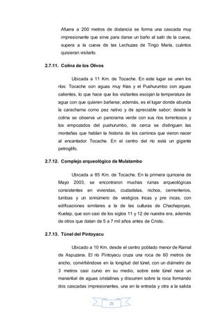 25
Afuera a 200 metros de distancia se forma una cascada muy
impresionante que sirve para darse un baño al salir de la cueva,
supera a la cueva de las Lechuzas de Tingo María, cuántos
quisieran visitarlo.
2.7.11. Colina de los Olivos
Ubicada a 11 Km. de Tocache. En este lugar se unen los
ríos: Tocache con aguas muy frías y el Pushurumbo con aguas
calientes, lo que hace que los visitantes escojan la temperatura de
agua con que quieren bañarse; además, es el lugar donde abunda
la carachama como pez nativo y de apreciable sabor; desde la
colina se observa un panorama verde con sus ríos torrentosos y
los empozados del pushurumbo, de cerca se distinguen las
montañas que hablan la historia de los caminos que vieron nacer
al encantador Tocache. En el centro del río está un gigante
petroglifo.
2.7.12. Complejo arqueológico de Mulatambo
Ubicada a 85 Km. de Tocache. En la primera quincena de
Mayo 2003, se encontraron muchas ruinas arqueológicas
consistentes en viviendas, ciudadelas, nichos, cementerios,
tumbas y un sinnúmero de vestigios Incas y pre incas, con
edificaciones similares a la de las culturas de Chachapoyas,
Kuelap, que son casi de los siglos 11 y 12 de nuestra era, además
de otros que datan de 5 a 7 mil años antes de Cristo.
2.7.13. Túnel del Pintoyacu
Ubicado a 10 Km. desde el centro poblado menor de Ramal
de Aspuzana. El río Pintoyacu cruza una roca de 60 metros de
ancho, convirtiéndose en la longitud del túnel, con un diámetro de
3 metros casi curvo en su medio, sobre este túnel nace un
manantial de aguas cristalinas y discurren sobre la roca formando
dos cascadas impresionantes, una en la entrada y otra a la salida
 